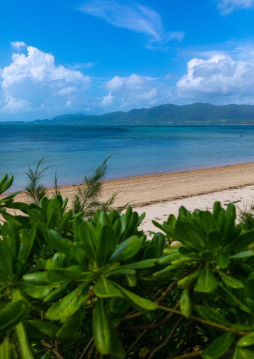 Salt beach, Yaeyama Islands, Ishigaki-jima, Japan