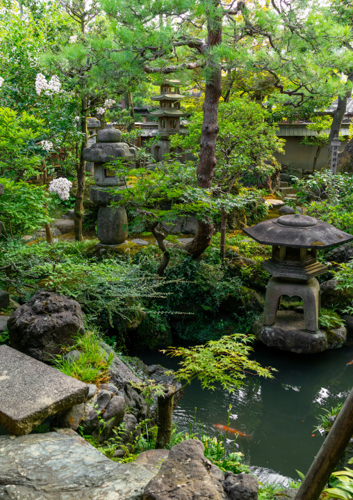 Nomura family samurai house japanese garden in Nagamachi quarter, Ishikawa Prefecture, Kanazawa, Japan