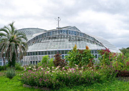 The Kyoto botanical garden greenhouse, Kansai region, Kyoto, Japan