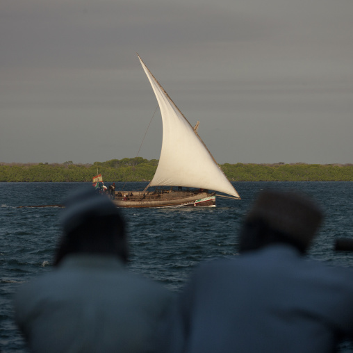 Dhow race during the Maulid festival, Lamu County, Lamu, Kenya