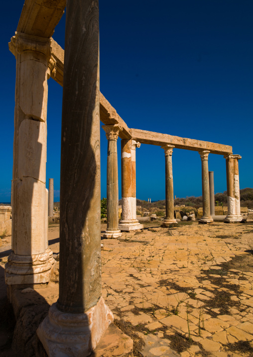 Market place in leptis magna, Tripolitania, Khoms, Libya