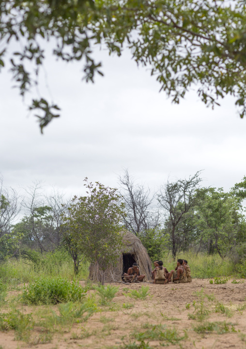 Hut In A Traditional Village, Tsumkwe, Namibia