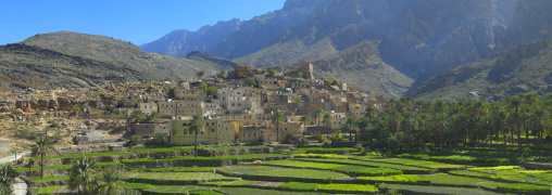 Village with lush green irrigated terraces, Al Hajar Mountains, Bilad Sayt, Oman