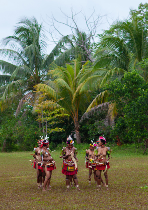 Tribal dancers in traditional clothing during a ceremony, Milne Bay Province, Trobriand Island, Papua New Guinea