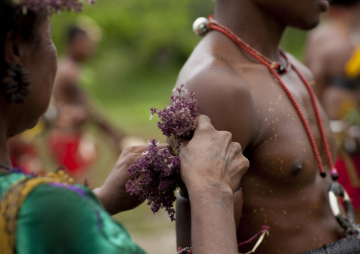 Woman putting herbs on the arm of a dancer as decoration, Milne Bay Province, Trobriand Island, Papua New Guinea