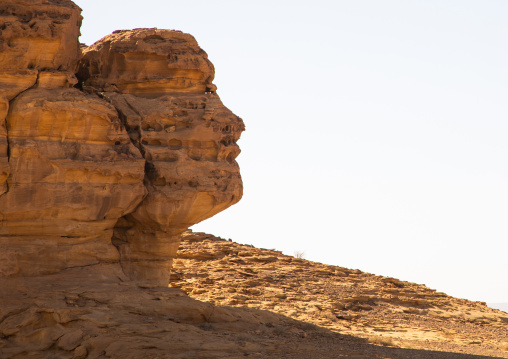 Rock formations that resemble human face in Madain Saleh, Al Madinah Province, Alula, Saudi Arabia