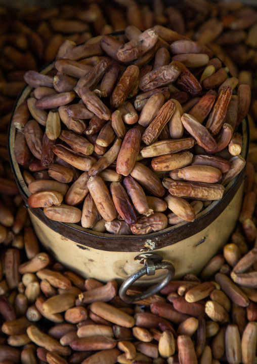 Sweet dates for sale in a shop, Najran Province, Najran, Saudi Arabia