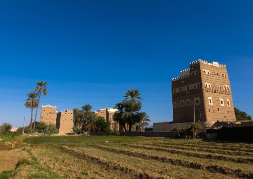 Traditional old multi-storey mud house with a garden, Najran Province, Najran, Saudi Arabia