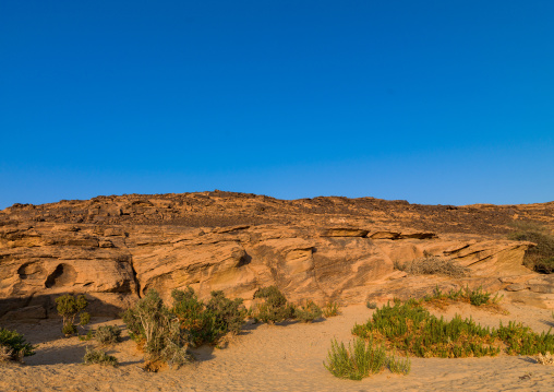 Petroglyphs site, Najran Province, Najran, Saudi Arabia