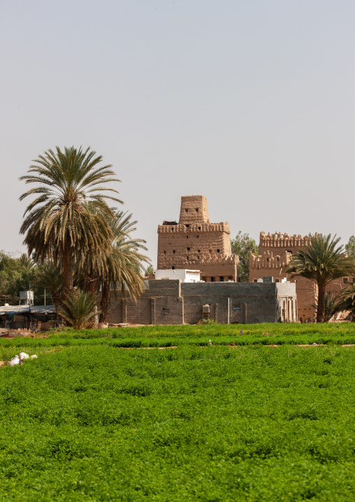 Traditional mud-bricks house in an oasis, Najran Province, Najran, Saudi Arabia