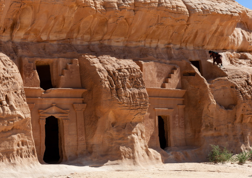 Nabataean tomb in madain saleh archaeologic site, Al Madinah Province, Al-Ula, Saudi Arabia