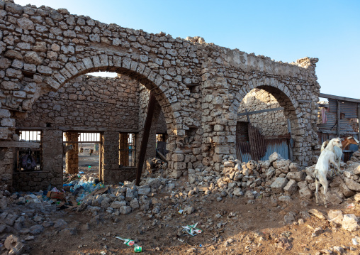 Ruins of a house in the old town after the somalian civil war, Awdal region, Zeila, Somaliland