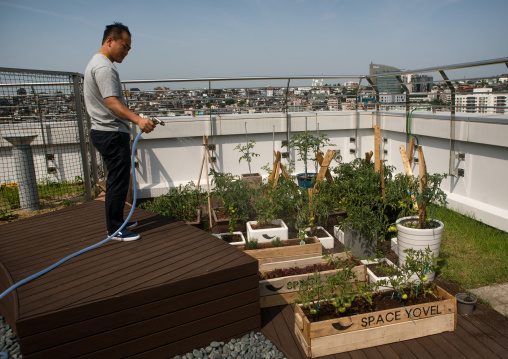 North korean defector joseph park in his roof garden in industrial bank of korea building, National capital area, Seoul, South korea