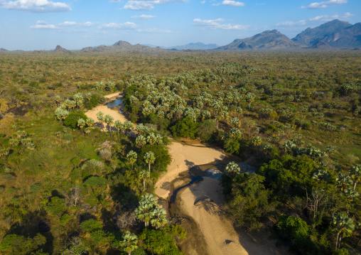 Dry river in an oasis in front of the Boya mountains, Boya Mountains, Imatong, South Sudan