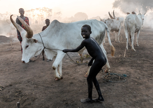 Mundari tribe boy taking care of the long horns cows in the camp, Central Equatoria, Terekeka, South Sudan