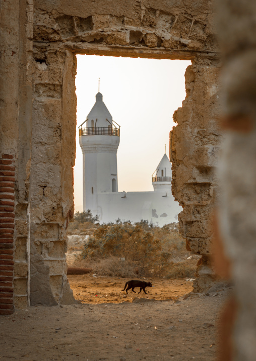 Sudan, Port Sudan, Suakin, the renovated shafai mosque