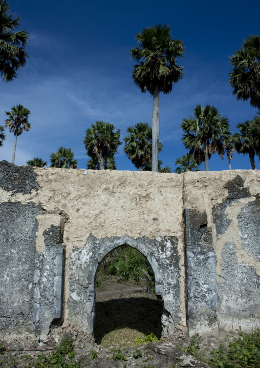 Mosque of mkumbuu ancient town, Pemba, Tanzania