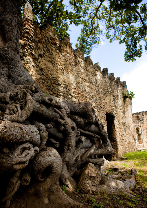 Old mosque in kilwa kisiwani, Tanzania